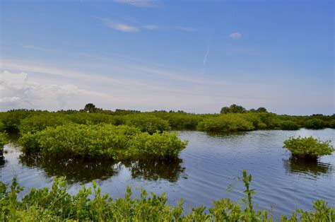 Blog | Florida Wildlife Corridor Foundation