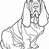 Basset Hound Coloring Page · Creative Fabrica sketch template