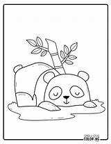 Panda Bear Coloring Pages Free PDF Printables  Simply Love sketch template