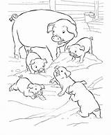 Family Pigs Coloring Page  Free Printable Pages For Kids sketch template
