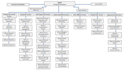 Hospital organizational chart – Artofit