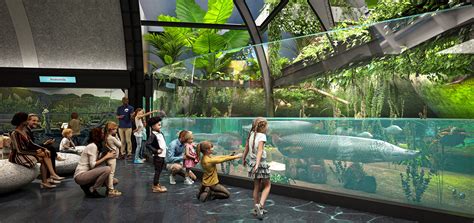 Chicago’s Shedd Aquarium announces $500 million makeover ahead of its 100th anniversary