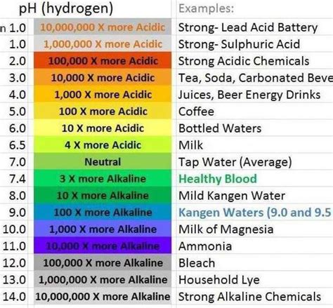 Are you Acidic? | Kangen water, Alkalized water, Kangen