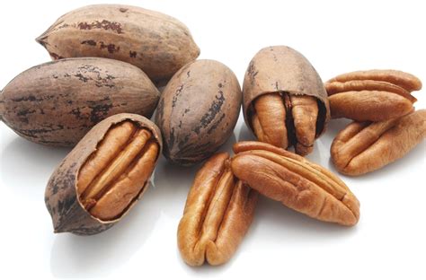 Pecan - Pecan Nutrition Facts, Calories, Carbs - Pecan Health Benefits