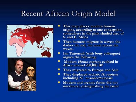 Recent African Origins or Regional Evolution?