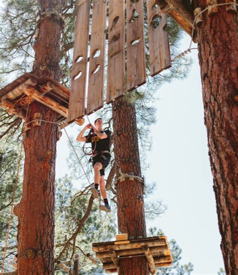 Adult Adventure Course at Flagstaff Extreme | Obstacles & Ziplines