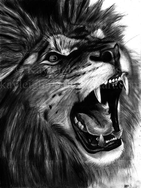 Angry Lion Sketch at PaintingValley.com | Explore collection of Angry Lion Sketch