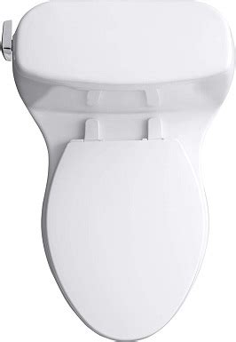 Kohler Santa Rosa Toilet Review - Pros, Cons & Verdict - Shop Toilet