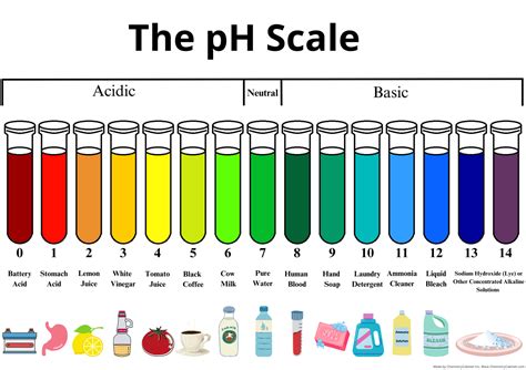 pH Scale Chart Print | PDF Download | Chemistry For Classroom | Acid ...