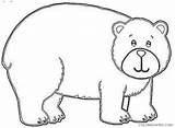 big bear Home Improvement Gallery Uh7WHX coloring  Coloring4Freecom sketch template