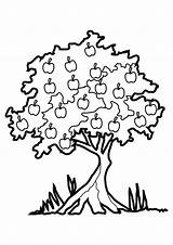 Free Printable Tree Coloring Pages For Kids sketch template