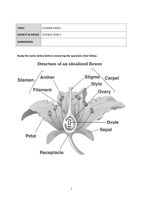 Cambridge Science Worksheets For Grade 6 – Thekidsworksheet