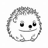 Simpatici Ricci Da Colorare Disegni Stampabili Gratis Per  sketch template