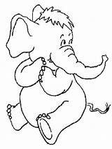 Cartoon Elephant coloring Page  Download Print Or Color Online For Free sketch template