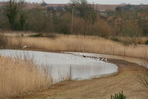 Black sheep: pond on Bevercotes Colliery... © Chris :: Geograph Britain and Ireland