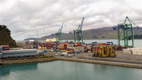 Australia's port logistics tech firm announces deals with CTAA and Lyttelton port - Container News