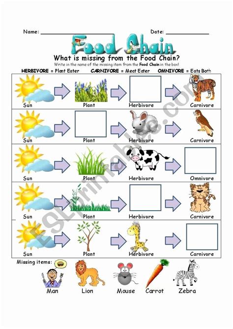 Food Chain Printable