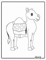 Camel Coloring Pages Free PDF Printables  Simply Love sketch template