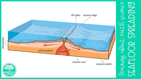 What Are 3 Types Of Evidence For Seafloor Spreading | Viewfloor.co