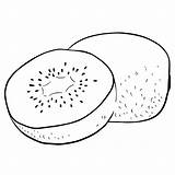 Desenho Kiwi Para Colorir Crianças  Jogue Aqui sketch template