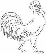 Rooster Coloring Pages Free sketch template