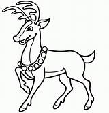 Coloring Pages Of Reindeer  Home sketch template