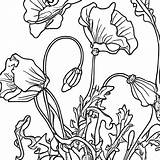 Art Nouveau Poppies Coloring Page · Creative Fabrica sketch template