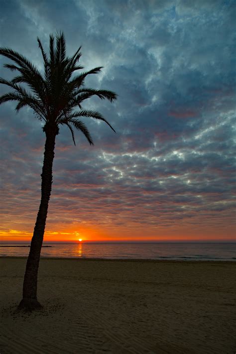 Idyllic Sunrise On A Costa Blanca Free Stock Photo - Public Domain Pictures