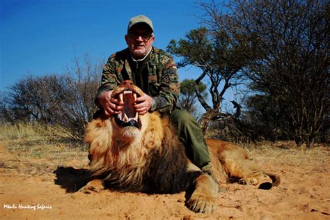 African lion hunting safari packages South Africa with the experts