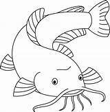 Catfish Coloring Pages Clip Drawings Clipart Line Drawing Tattoo  sketch template