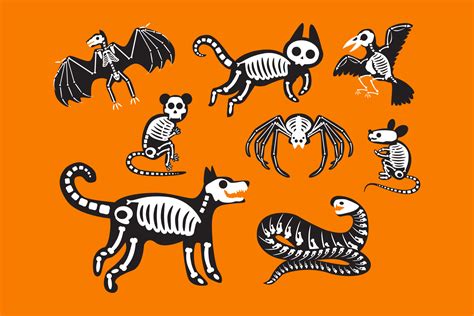 Animal skeleton halloween celebration set vector 13333501 Vector Art at Vecteezy