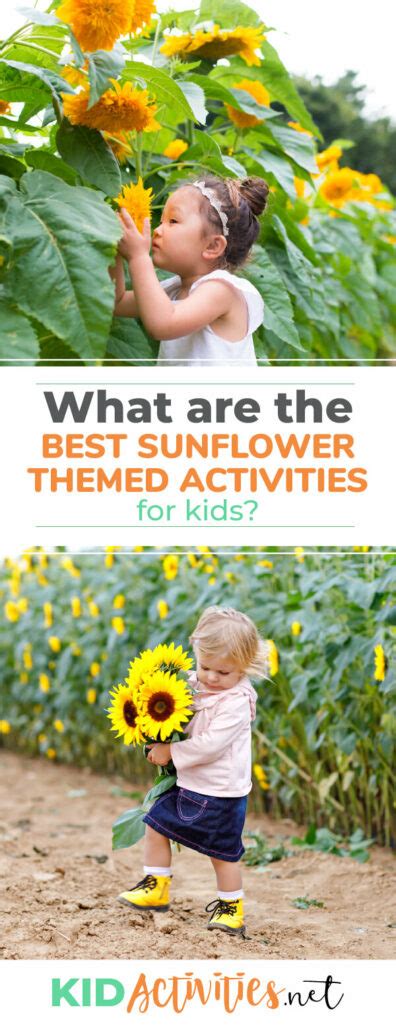 25 Sunflower Activities for Kids to Welcome the Summer