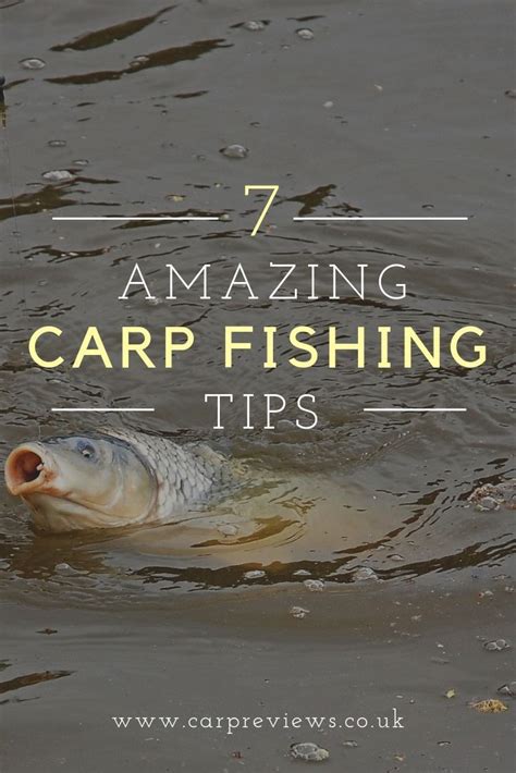 7 AMAZING CARP FISHING TIPS | Carp fishing tips, Carp fishing, Fishing tips