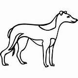 Greyhound Coloring Page At GetColoringscom  Free Printable Colorings sketch template