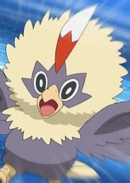 Rufflet | Anime-Planet