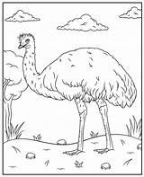Coloring Australia Emu Pages Day Kids Printable Countries Sketch  sketch template