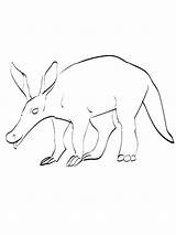 Aardvark coloring Pages sketch template