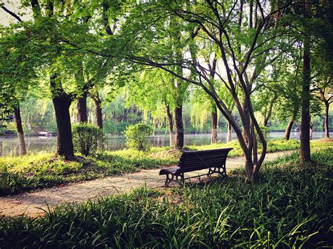 Shanghai Century Park Scenery Picture And HD Photos | Free Download On ...