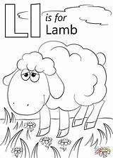 Letter L Is For Lamb Coloring Pages  Free Printable sketch template