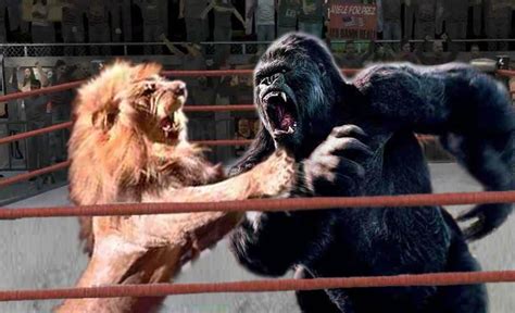 | Gorilla Combat