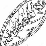 Colorful Dna Double Helix Coloring Page 26044 21060 sketch template