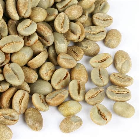 Green Clean Robusta Coffee Beans - Size 18 - VIHABA