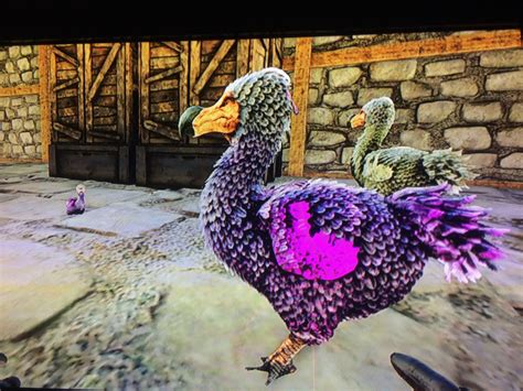 Selling Mutated Dodo Eggs. PM Me : r/Ark_PS4_Community