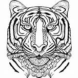 Tiger Coloring Pages For Adults Simple Style · Creative Fabrica sketch template