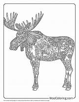 100  Moose Coloring Pages Free PDF To Print Woo Coloring sketch template