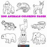 Zoo Animal Coloring Pages For Toddlers sketch template