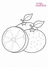 Orange Coloring Page For Kids  FirstCry Parenting sketch template