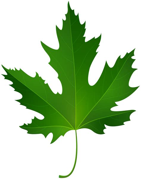 Maple Leaf PNG Clip Art - Best WEB Clipart