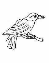 Print Thirsty Crow Story Drawing Coloring Page sketch template