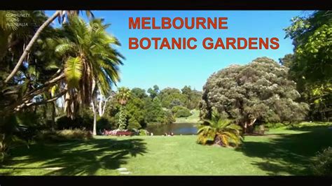 Royal Botanic Gardens Melbourne Australia Day | Fasci Garden